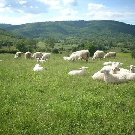 Sleeps 4 *